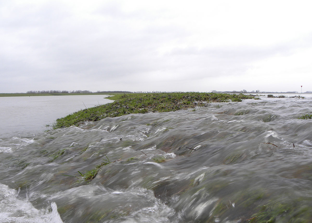 Hoogwater in De Lek