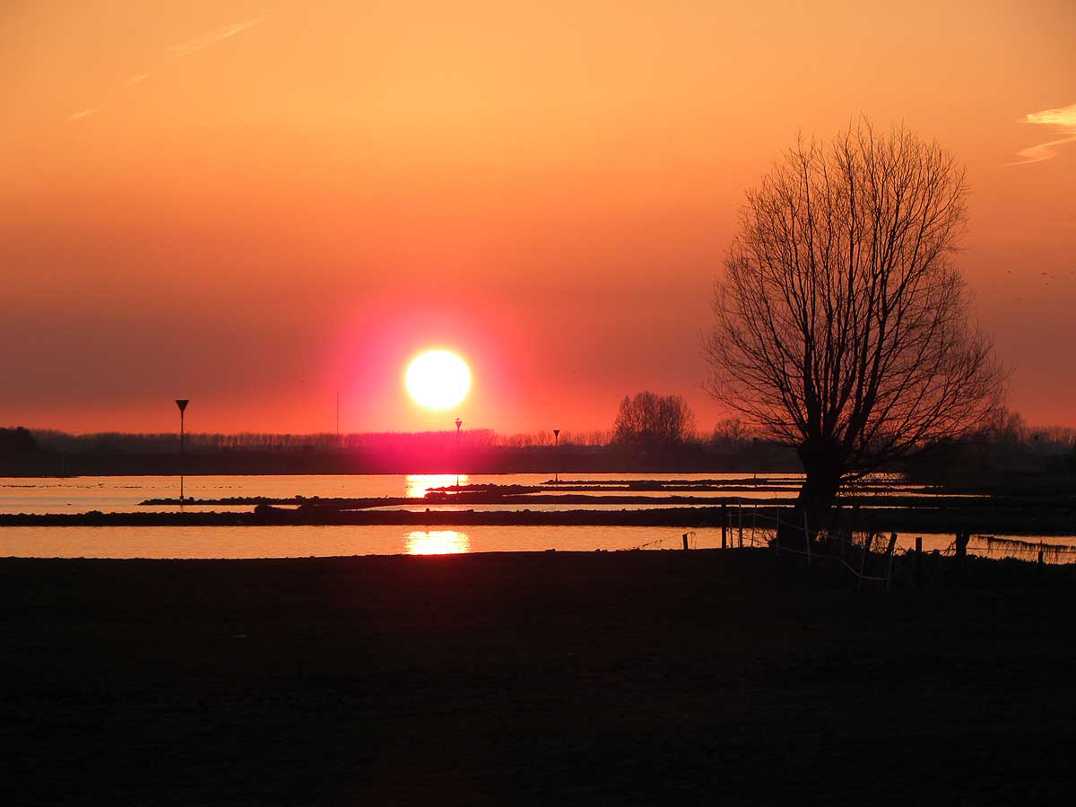 Zonsondergang aan de Lek