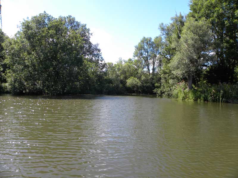 Biesbosch 2 800biesbosch
