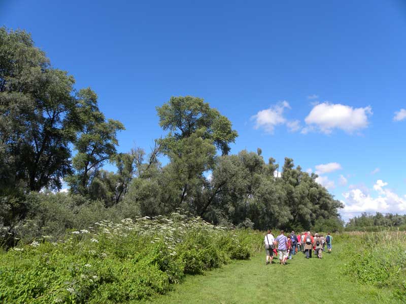 Biesbosch 3 800biesbosch2