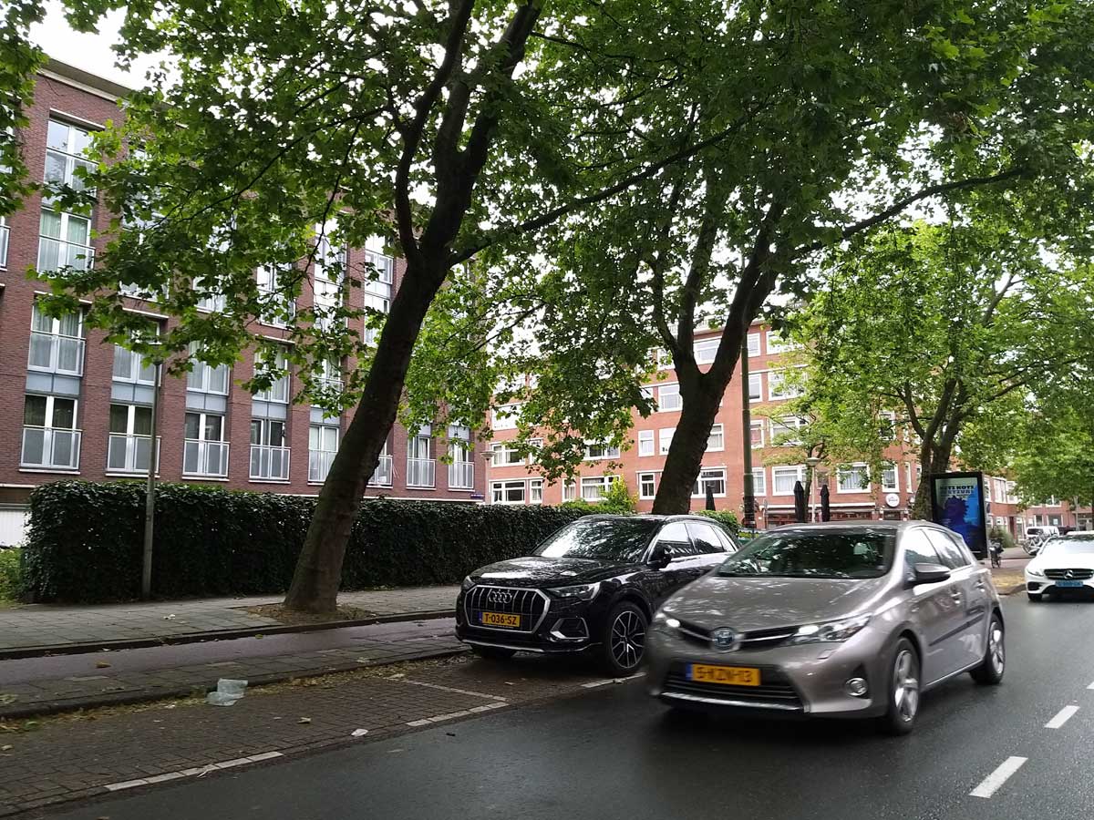 Boom valt ‘uit het niets’ om